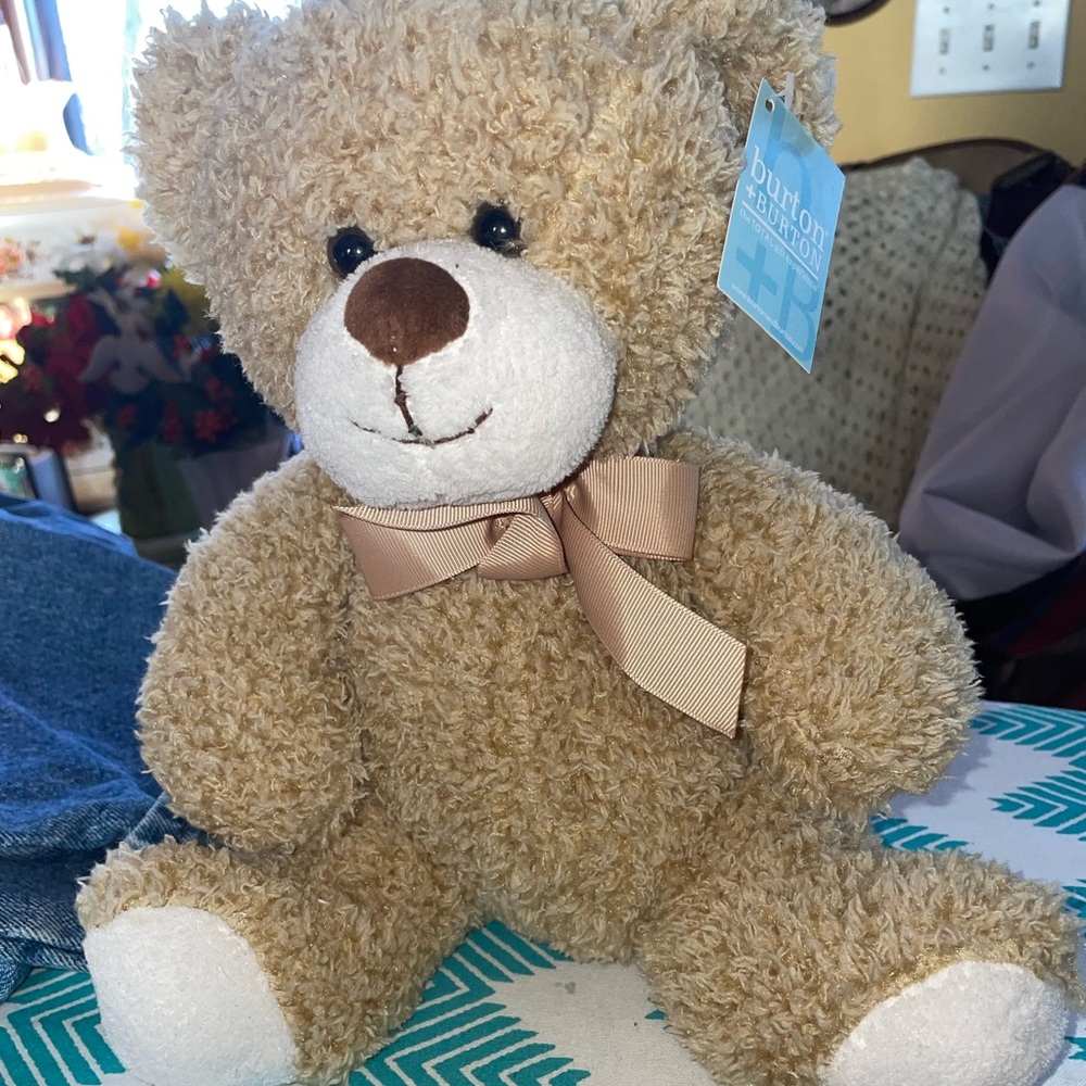 Teddy bear